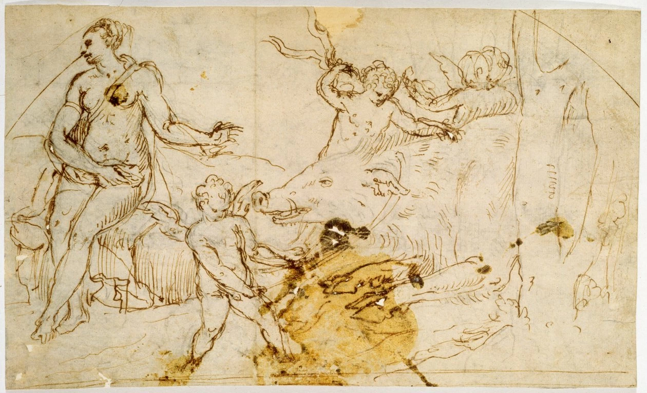 Perin del Vaga - 249, Venere, Putti e un Cinghiale Selvatico